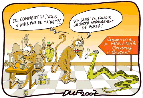 Handicap vu par Duf Handicap vu par Duf