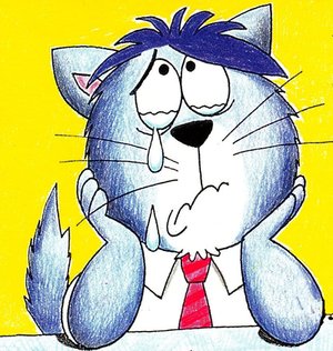 Le chat de Barberousse est triste