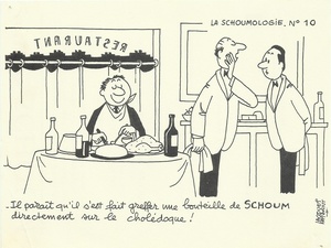 Schoumologie
